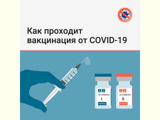 Вакцинация: ответы на часто задаваемые вопросы